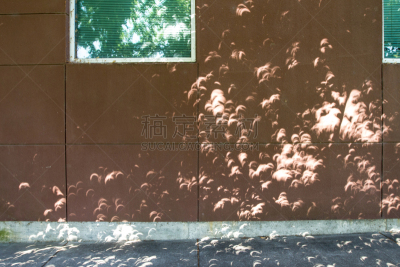 阴影,光,叶子,2017年,新月形,水平画幅,天体物理学,夜晚,无人,月亮