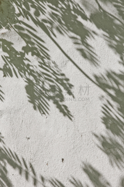 叶子,白色,围墙,阴影,氦,复叶,垂直画幅,式样,图像特效,易接近性