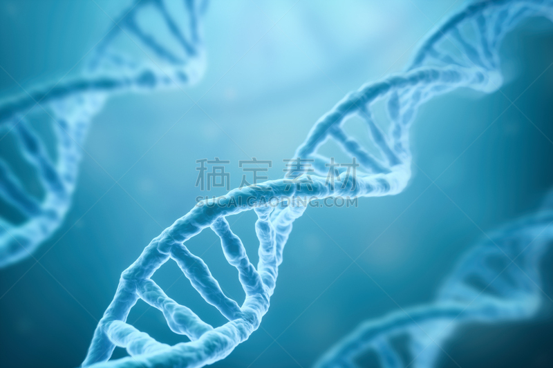 脱氧核糖核酸,蓝色背景,干细胞,遗传研究,分子结构,染色体,放大效果,螺旋,生物学