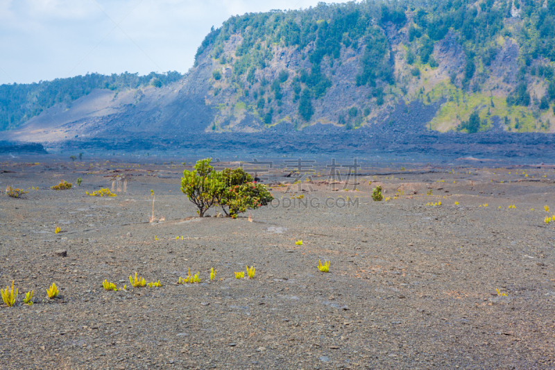 火山口,室内地面,天空,石头,特有物种,夏威夷大岛,玻利尼西亚,植物学,灌木,极端地形