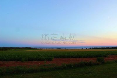 田地,农场,加拿大,水平画幅,爱德华王子岛,无人,联邦桥,户外,摄影