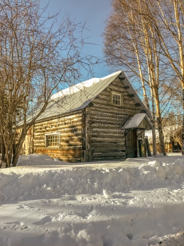 阿拉斯加,小木屋,塔基那,寒冷,过去,雪,古典式,阴影,自然荒野区,白桦