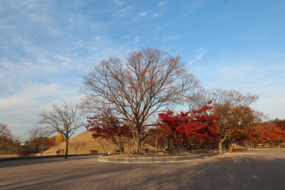 庆州市,坟墓,公园,秋天,风景,枫树,水,天空,美,水平画幅