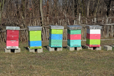 蜂箱,昆虫群,beekeeper,养蜂,褐色,水平画幅,户外,草,两翼昆虫,园艺