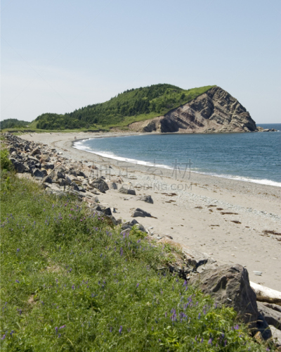 海岬,卡伯特道,垂直画幅,沙子,岩石,无人,户外,海洋,海滩,布雷顿角
