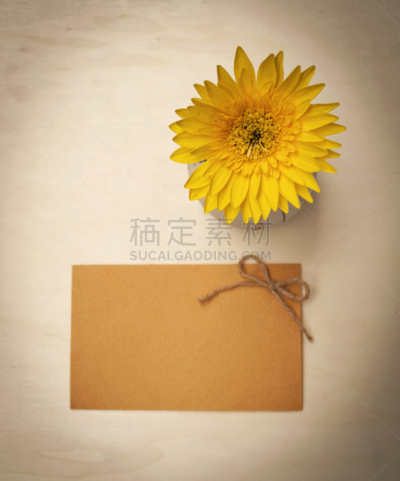 雏菊,仅一朵花,卡片,黄色,空白的,黄牌,非洲雏菊,自然,垂直画幅,太空