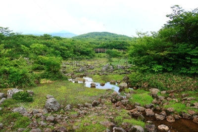 夏天,湿地,苏格兰高地,沼泽,秘密,旅途,凉棚,纯净,华贵,云