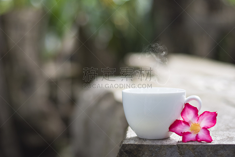 早晨,咖啡,褐色,芳香的,水平画幅,无人,茶碟,饮料,特写,泰国