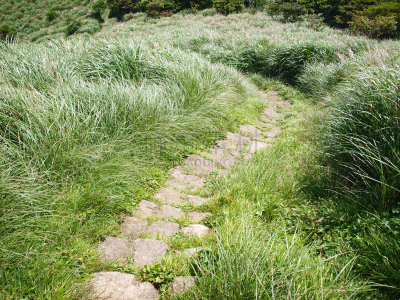 山,草原,自然,风,草地,非都市风光,水平画幅,绿色,地形,岩石