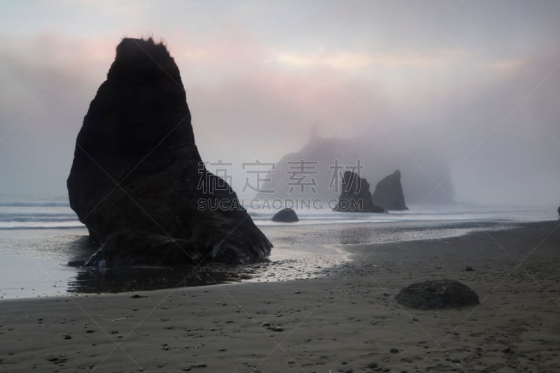 海岸线,华盛顿州,鲁比海滩,柱状岩石,自然,水,美国,旅游目的地,水平画幅,地形