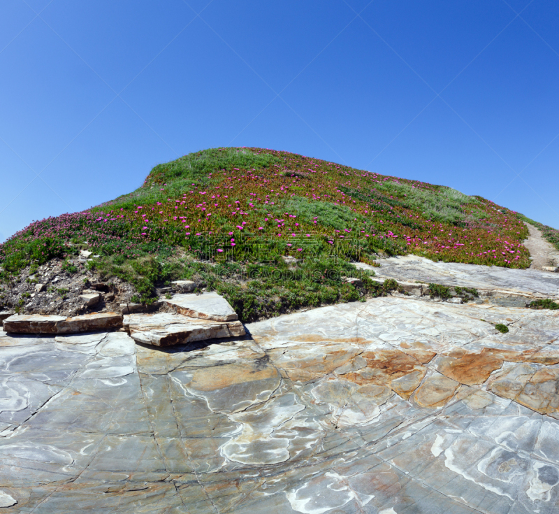 岩石,粉色,在上面,海无花果树,冰草,自然,天空,水平画幅,地形,山