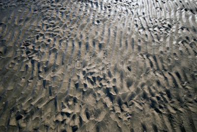 海底,水,水平画幅,沙子,无人,户外,特写,海洋,潮汐,彩色图片