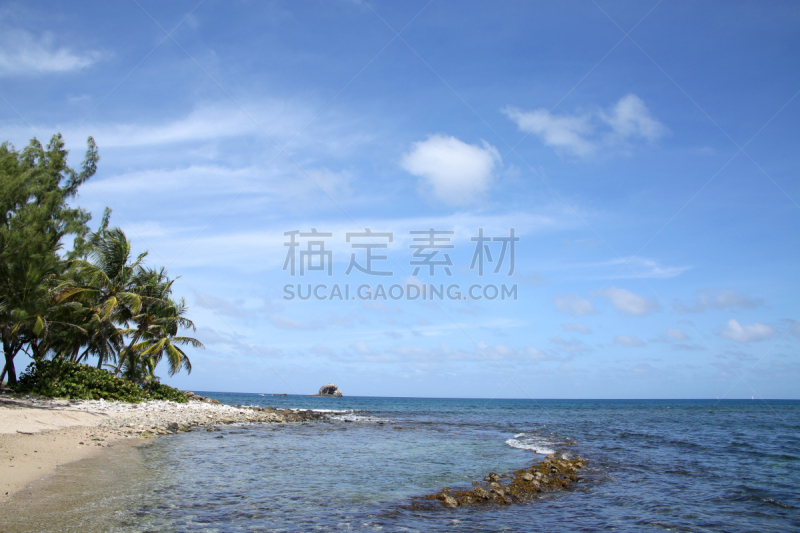 圣卢西亚,海滩,果实垒,加勒比海地区,自然美,棕榈树,鸡尾酒,海岸线,水,天空