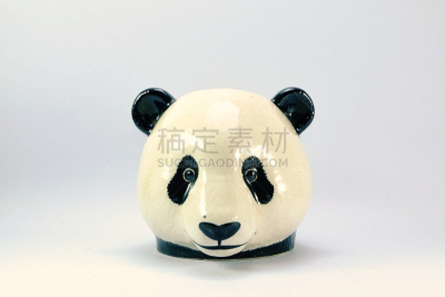 熊猫,白色背景,分离着色,美,水平画幅,美人,古老的,在边上,熊