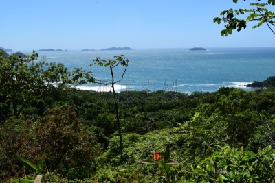 海洋,地形,云景,热带气候,云,枝繁叶茂,海岸线,巴西,热带树,夏天