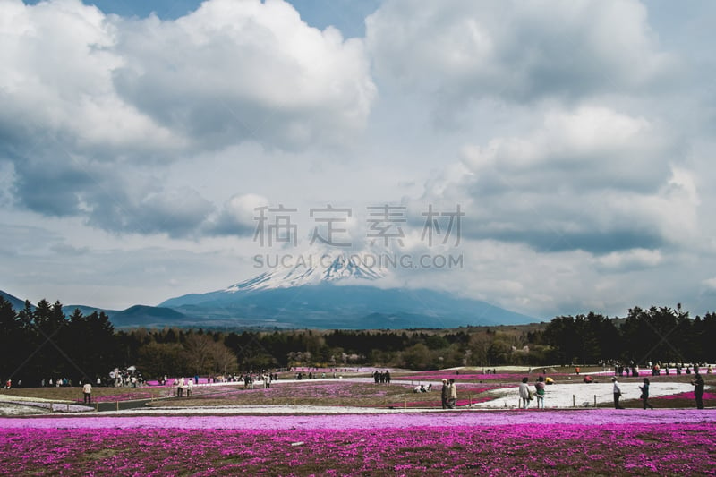 富士山,山,富士河口湖,河口湖,水平画幅,无人,日本,户外,摄影,旅行