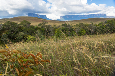 罗赖马山,罗赖马州,平顶山,平顶山区,canaima,委内瑞拉,南美,水平画幅,无人,户外
