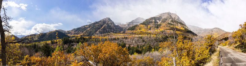 犹他,山,瓦萨屈山脉,圆形,秋天,天空,阿尔卑斯枞树,美国西部,水平画幅,乌特人