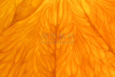 橙子,水平画幅,素食,维生素,异国情调,饮料,特写,部分,彩色图片,热带气候