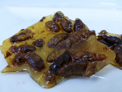 昆虫,蚕,食品,接力赛,水平画幅,无人,昆虫学家,膳食,意大利,特写