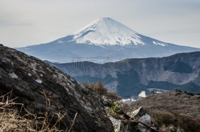 富士山,箱根湿地植物园,箱根园,水平画幅,无人,全景,日本,户外,陆地,富士箱根伊豆国立公园