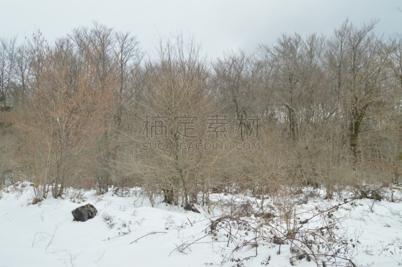 雪,瀑布,河流,自然,地形,纳纹河,欧洲,森林,非凡的,跳