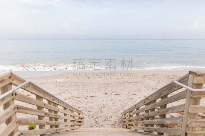 海滩,佛罗里达,木星,水,天空,美,水平画幅,棕榈沙滩镇,无人,鸟类