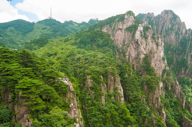 黄山山脉,中国,自然,松树,水平画幅,山,无人,户外,中长距离,松科