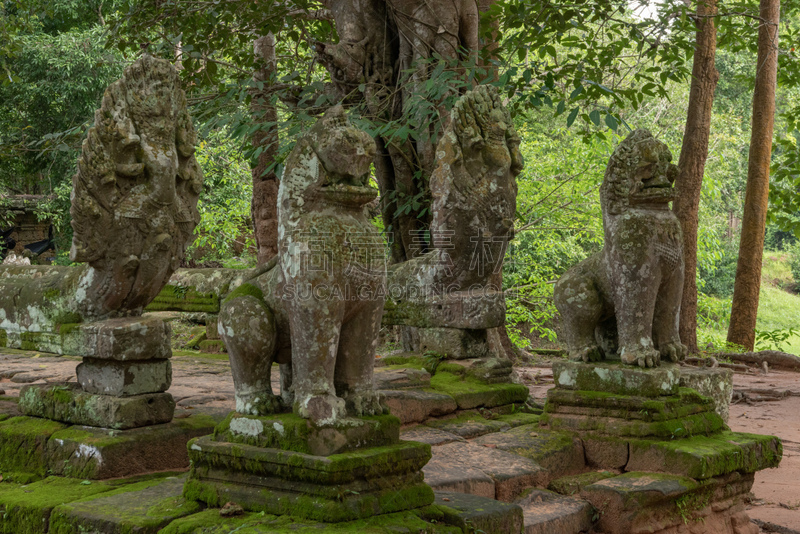 斑黛喀蒂寺,蛇,石材,狮子,亚洲,远古的,古老的,地衣,世界遗产,图像
