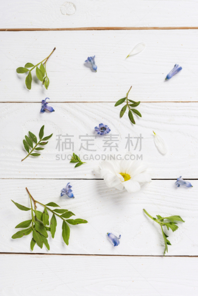 叶子,桌子,花瓣,背景,木制,clara curtis,翠湖,紫色背景,开花时间间隔,垂直画幅