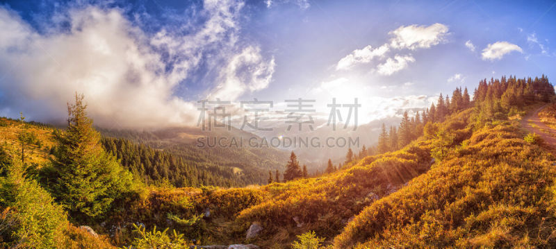早晨,全景,乌克兰,卡帕锡安山脉,太阳,华内斯,草皮,水平画幅,山,无人