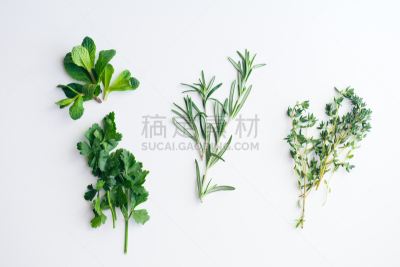唇形科,清新,花束,白色背景,百里香,草本,迷迭香,欧芹,小的,分离着色