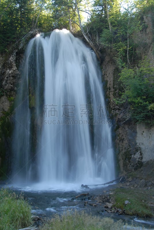 南达科他州,卡司特州立公园,黑山,美洲野牛,死木镇,垂直画幅,山,瀑布,无人,户外