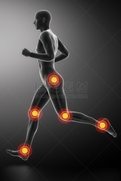关节,男人,膝,臀,慢跑,踝,腿,垂直画幅,韧带,四肢