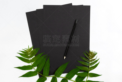 速写本,绿色,看风景,在上面,自然,桌子,铅笔,华丽的,枝
