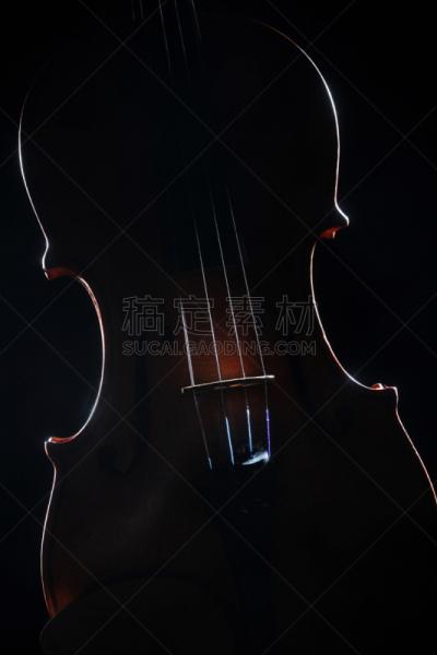 乐器,黑色背景,小提琴,古典室音乐,古典管弦乐,室内管弦乐队,古典戏剧,音乐剧,垂直画幅,艺术