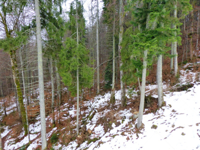 度假胜地,水平画幅,山,雪,无人,东欧,滑雪坡,户外,伊万诺-弗兰克依维卡,在上面