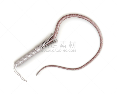 鞭子,分离着色,白色背景,三维图形,概念和主题,个人随身用品,褐色,水平画幅,易接近性,无人