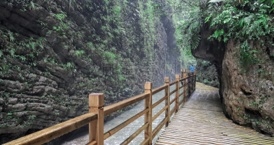 小路,桥,徒步旅行,中国,张家界,武陵源,玻璃,大峡谷,水平画幅,户外