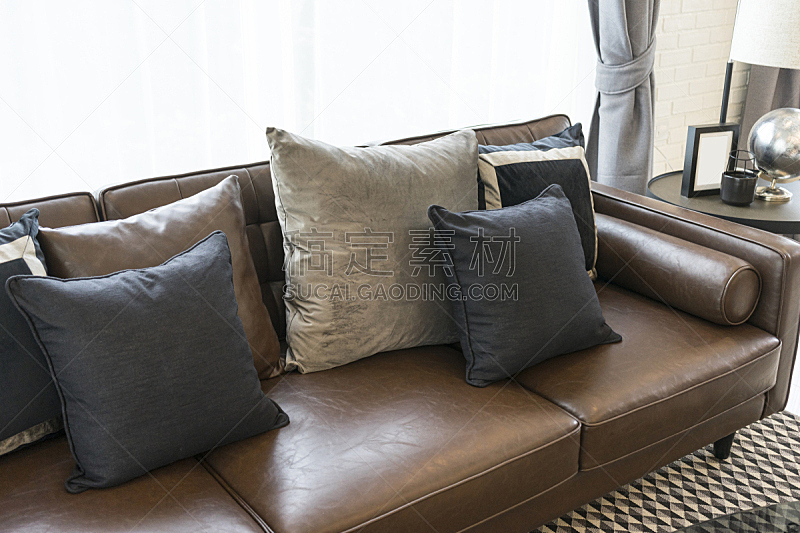 沙发,华贵,起居室,枕头,褐色眼睛,美,褐色,新的,长椅,水平画幅