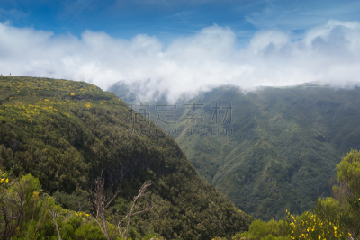 马德拉,山顶,塞沙尔,古梅阿达,月桂树叶,大西洋群岛,自然神力,方向标,天空,步行