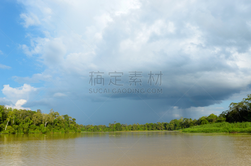 婆罗洲岛,马来西亚,雨林,京那巴丹岸河,自然,热带雨林,水,天空,公园,褐色