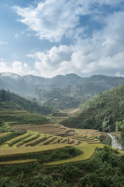 沙坝,梯田,越南,稻,莱州,老街省,水资源保护,水稻梯田,马来西亚人,越南人