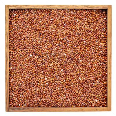红色,藜麦,盒子,白色,白色背景,背景分离,食品,图像,盘子,美国