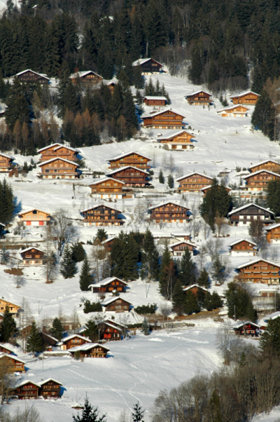 阿尔卑斯山脉,乡村,食管下括约肌,垂直画幅,度假胜地,雪,旅行者,周末活动,居住区,瑞士阿尔卑斯山