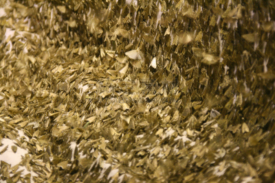 草,蛾,大群动物,pyralid moth,自然,褐色,水平画幅,无人,户外,特写