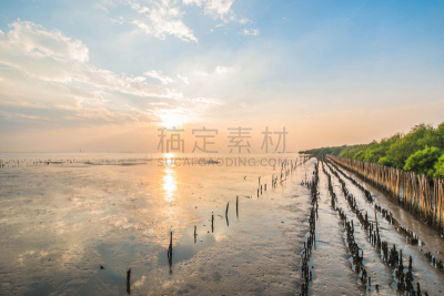 泰国,红树林,渔沪,微咸水,养鱼场,阿布扎比,红树,水,天空,夏天