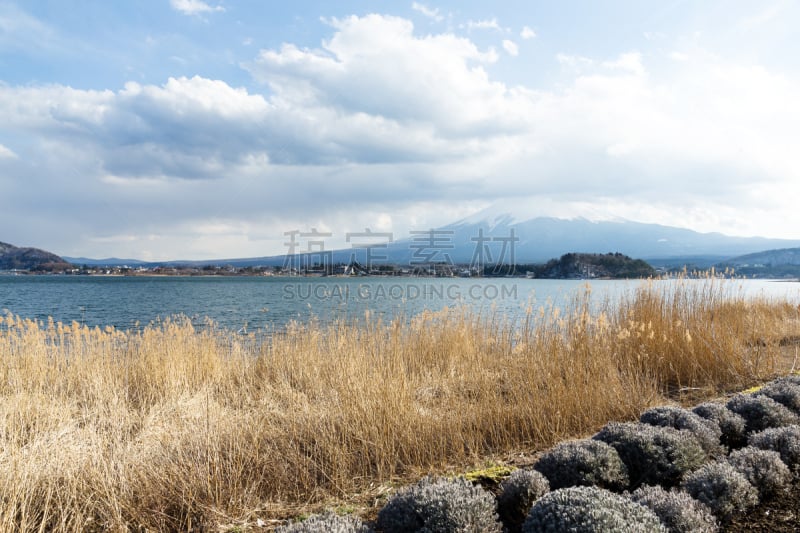 河口湖,自然,天空,里山,非都市风光,水平画幅,地形,雪,无人,日本