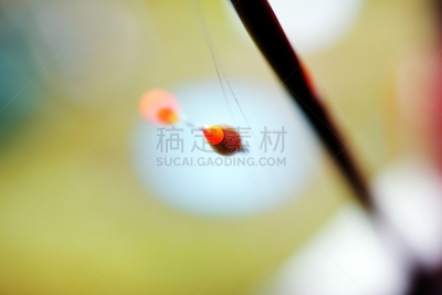 浮标,钓大鱼,鱼漂,传统运动,钓竿,水平画幅,无人,户外,业余爱好,运动