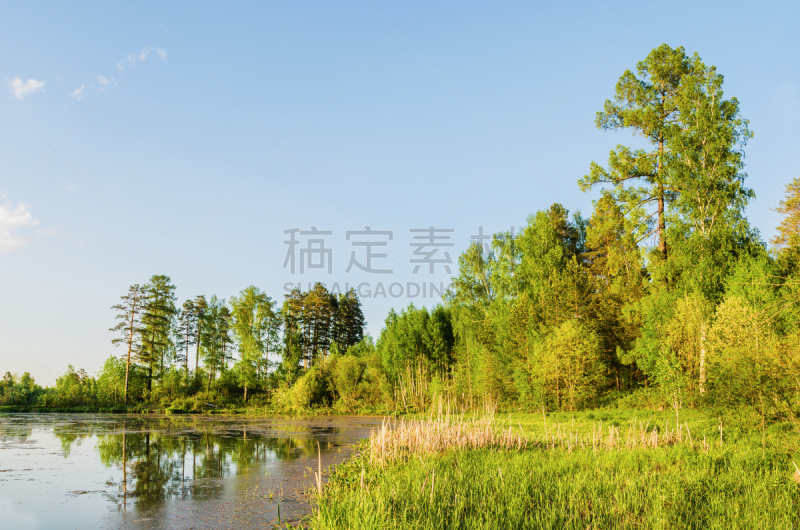 夏天,地形,黄昏,云景,环境,乌拉尔联邦管区,池塘,湖,植物,河流